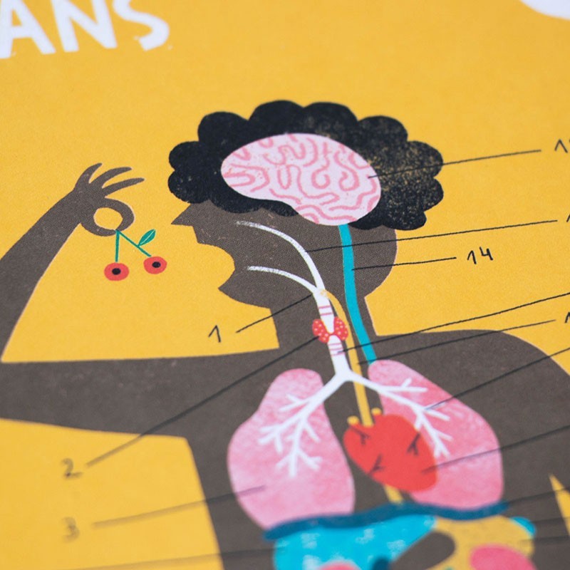 Educational game of the human body